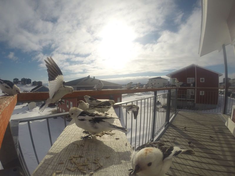 DCIM116GOPRO