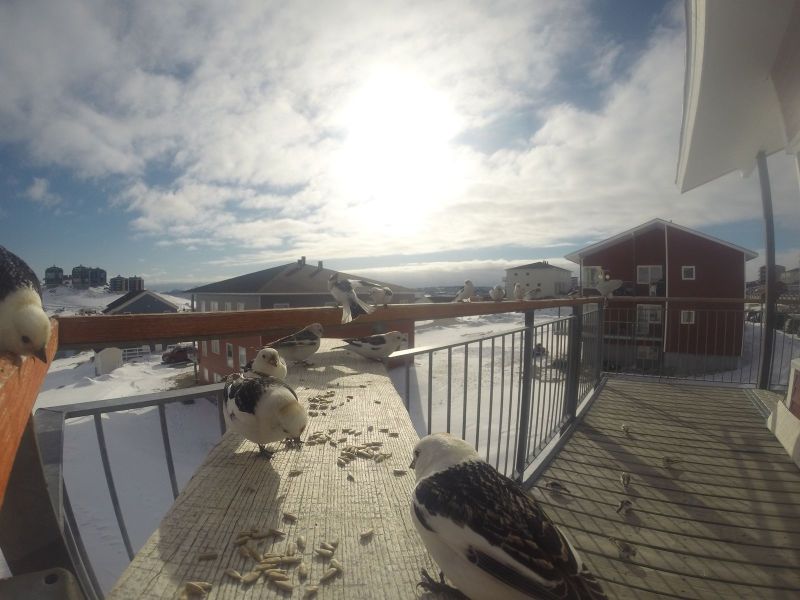 DCIM116GOPRO