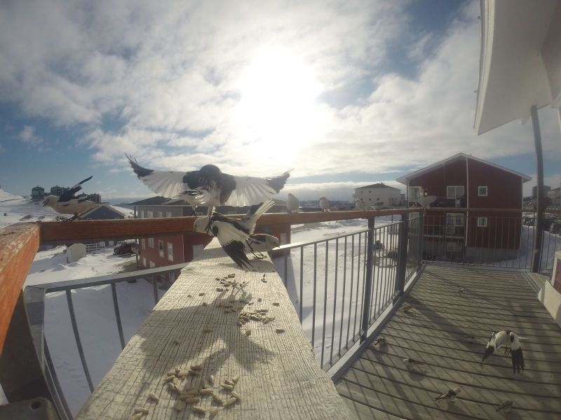 DCIM116GOPRO