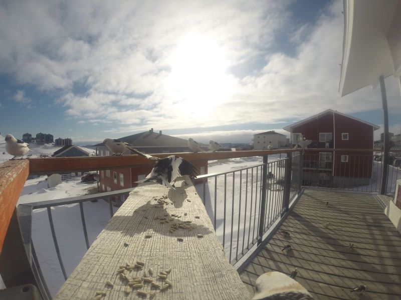 DCIM116GOPRO