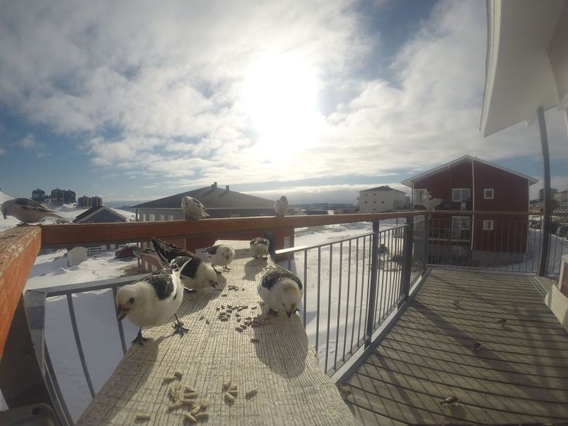 DCIM116GOPRO