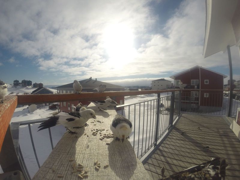 DCIM116GOPRO