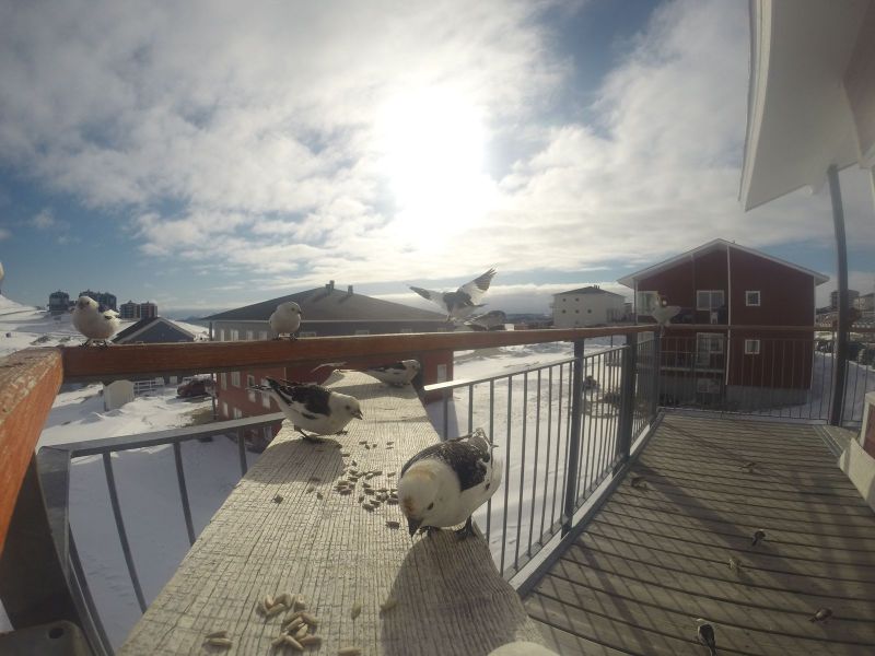 DCIM116GOPRO