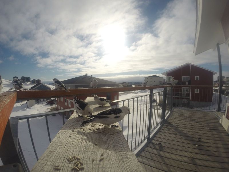 DCIM116GOPRO