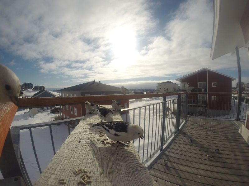 DCIM116GOPRO