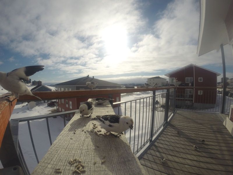 DCIM116GOPRO