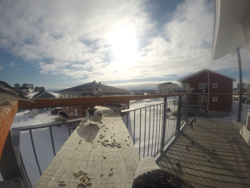 DCIM116GOPRO