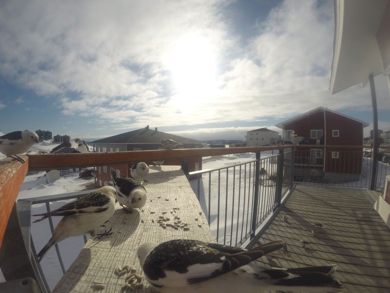 DCIM116GOPRO