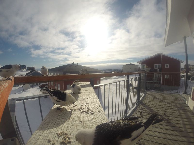 DCIM116GOPRO