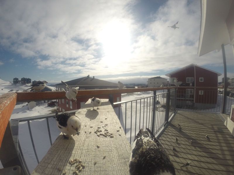 DCIM116GOPRO