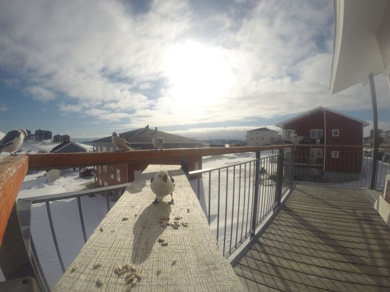DCIM116GOPRO