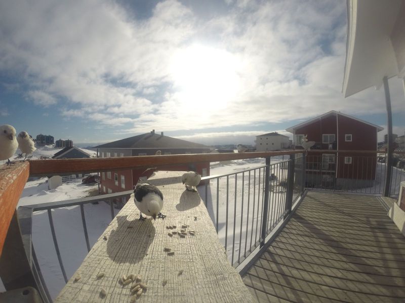 DCIM116GOPRO