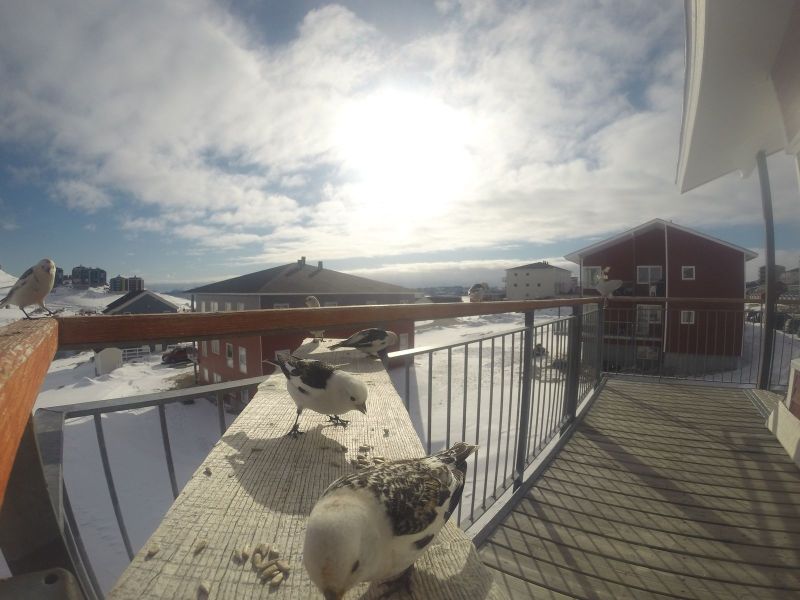 DCIM116GOPRO