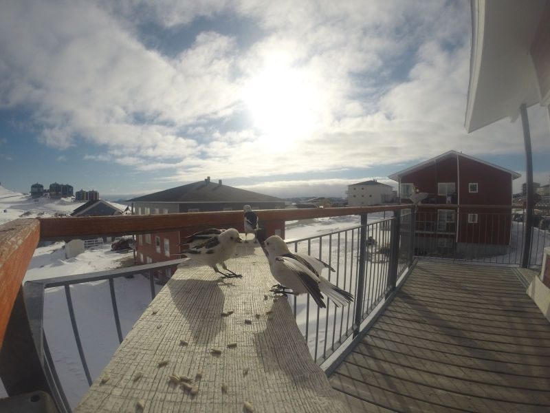 DCIM116GOPRO