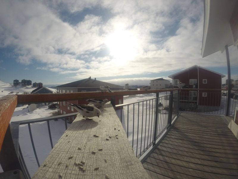 DCIM116GOPRO