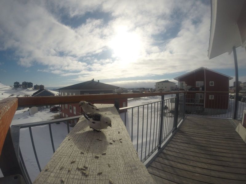 DCIM116GOPRO