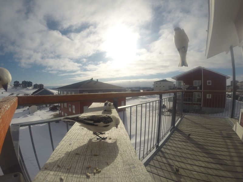 DCIM116GOPRO