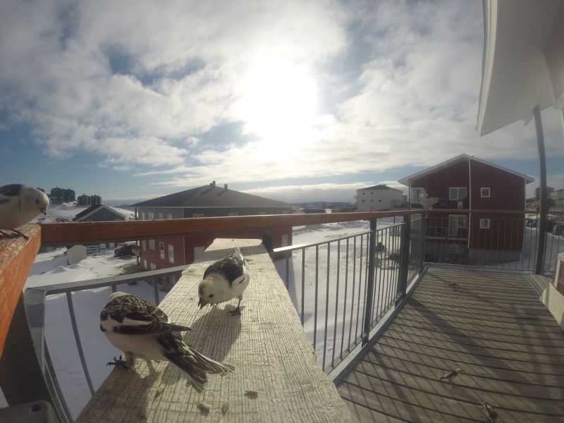 DCIM116GOPRO