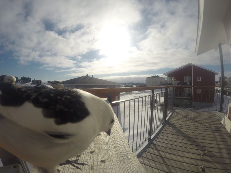 DCIM116GOPRO