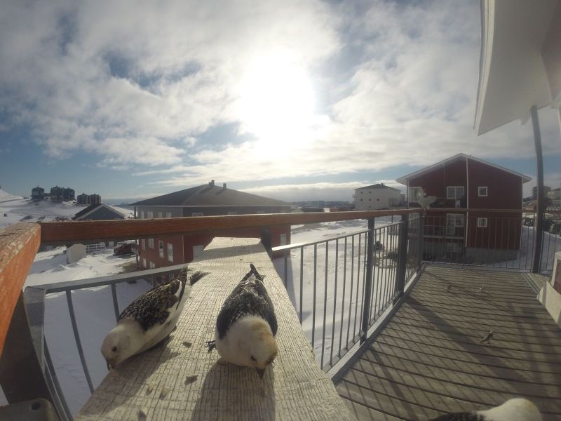 DCIM116GOPRO