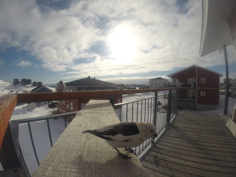 DCIM116GOPRO