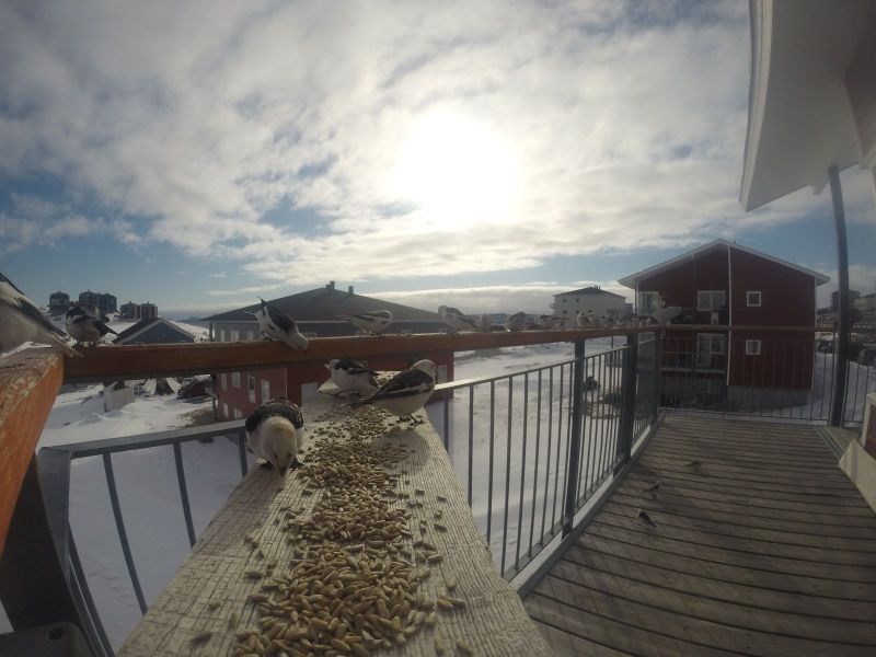 DCIM116GOPRO