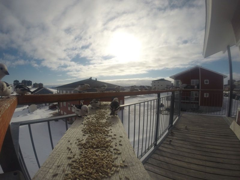 DCIM116GOPRO