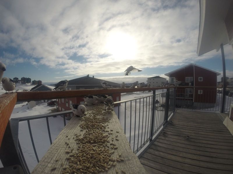 DCIM116GOPRO