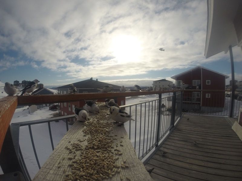 DCIM116GOPRO
