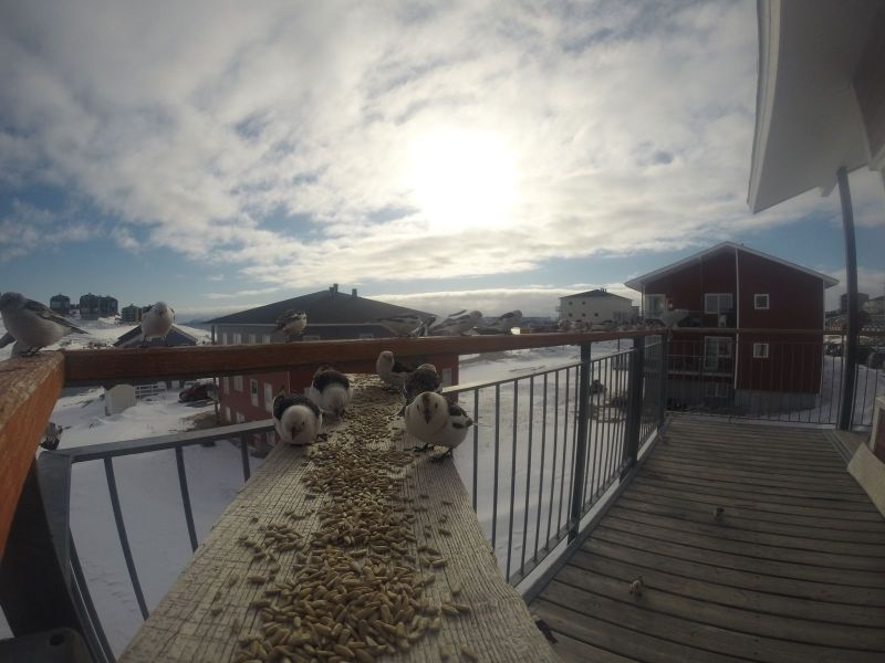 DCIM116GOPRO