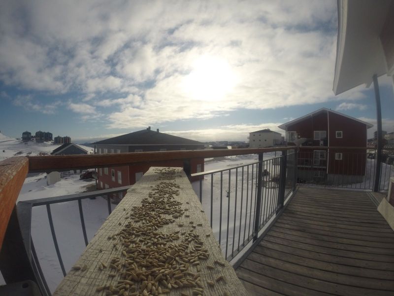 DCIM116GOPRO
