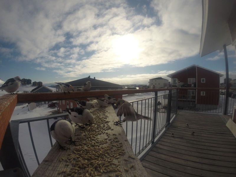 DCIM116GOPRO