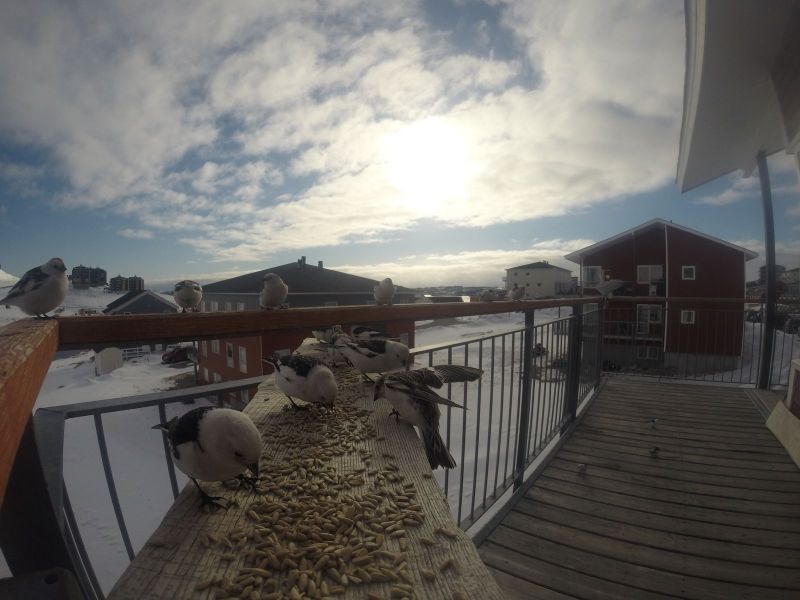 DCIM116GOPRO