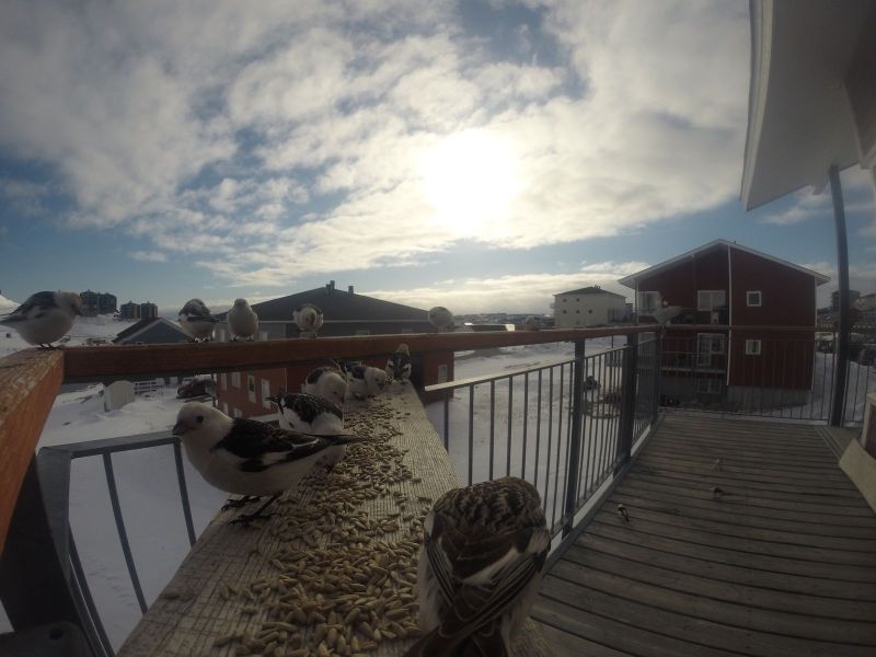 DCIM116GOPRO