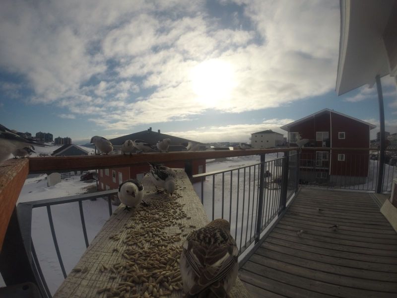DCIM116GOPRO