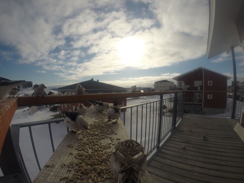 DCIM116GOPRO