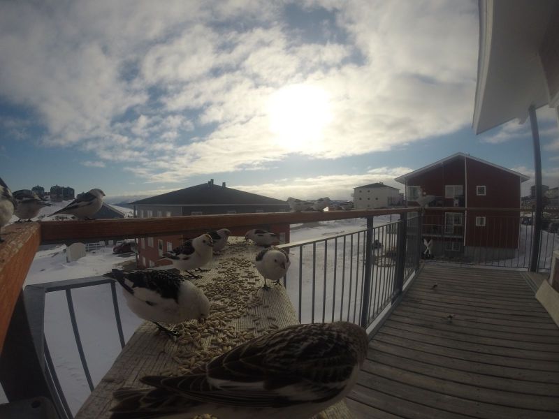DCIM116GOPRO
