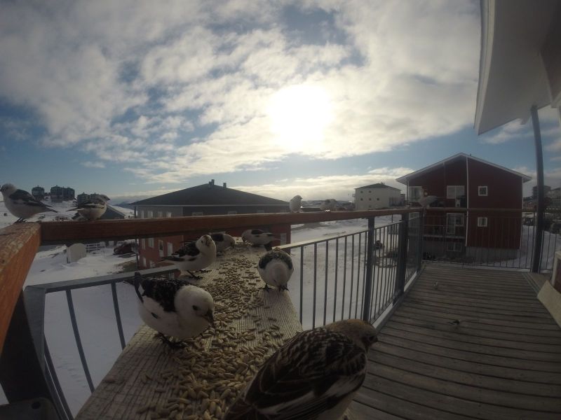 DCIM116GOPRO