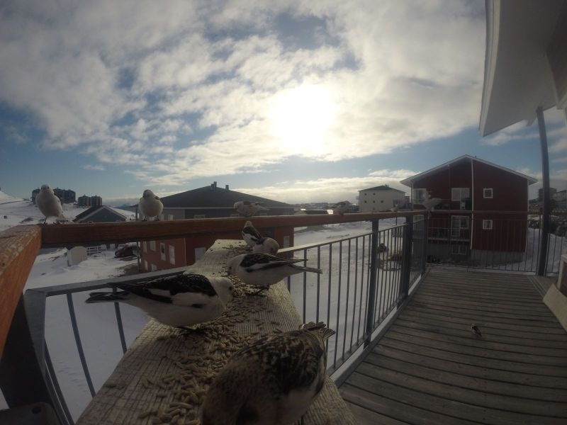 DCIM116GOPRO