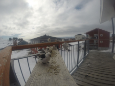 DCIM\116GOPRO