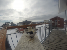 DCIM\116GOPRO