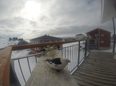DCIM\116GOPRO