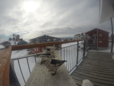 DCIM\116GOPRO