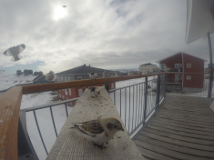 DCIM\116GOPRO