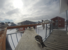 DCIM\116GOPRO