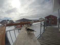 DCIM\116GOPRO