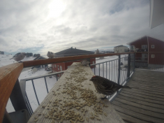 DCIM\116GOPRO