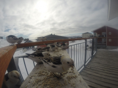 DCIM\116GOPRO