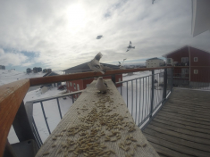 DCIM\116GOPRO