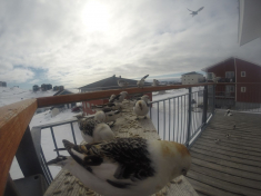 DCIM\116GOPRO